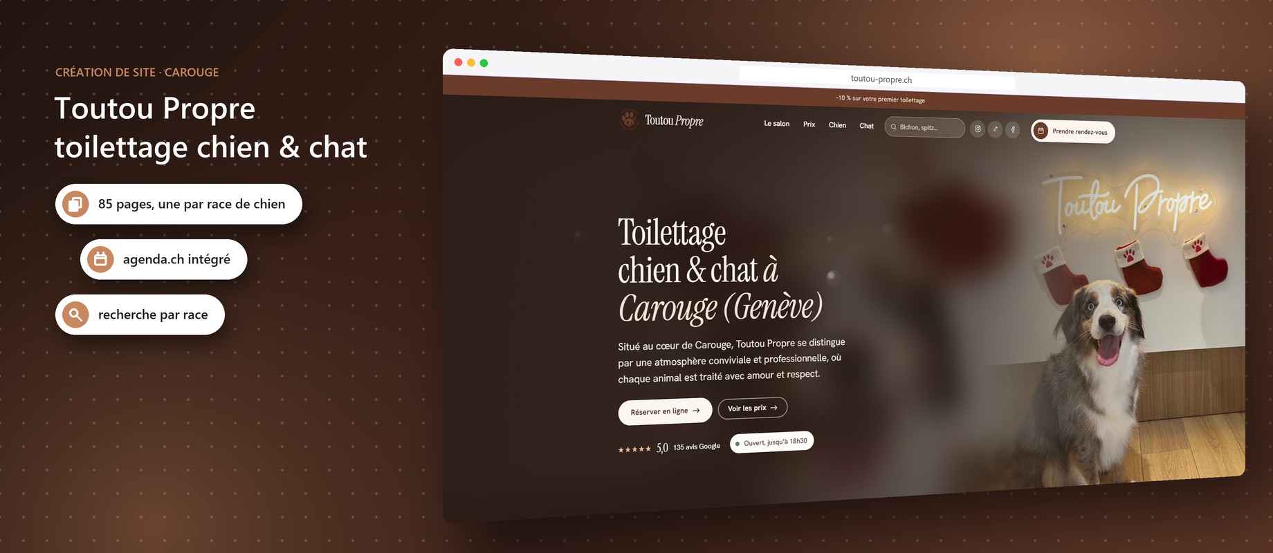 création du site Toutou Propre à Carouge